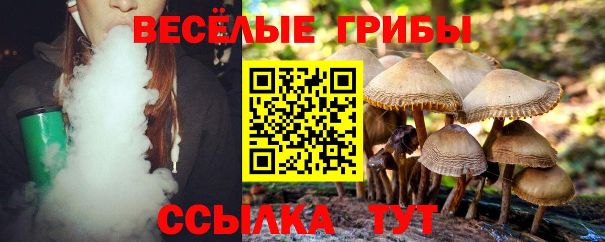 Галлюциногенные грибы GOLDEN TEACHER  Псилоцибиновые грибы Psilocybe  Вход с VPN  Выборг 