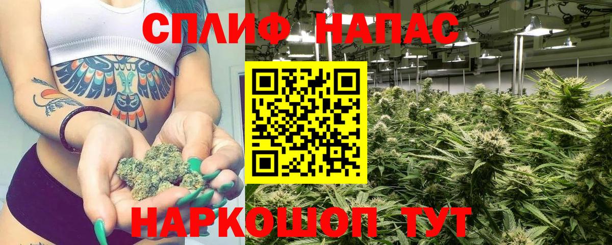 Шишки марихуана семена Выборг